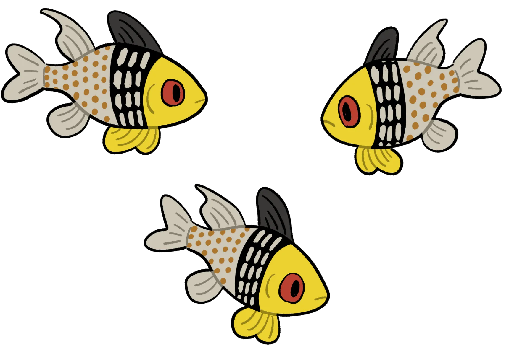 オイカワのイラスト