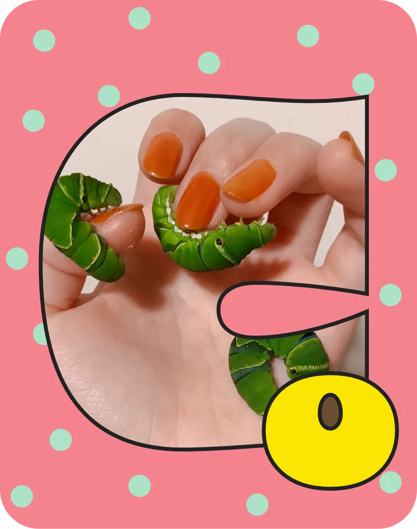 ピンクのカード