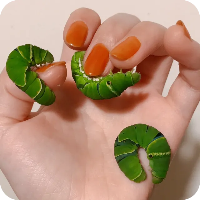 イモムシの写真