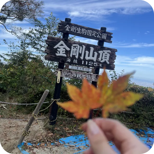 イモムシの写真