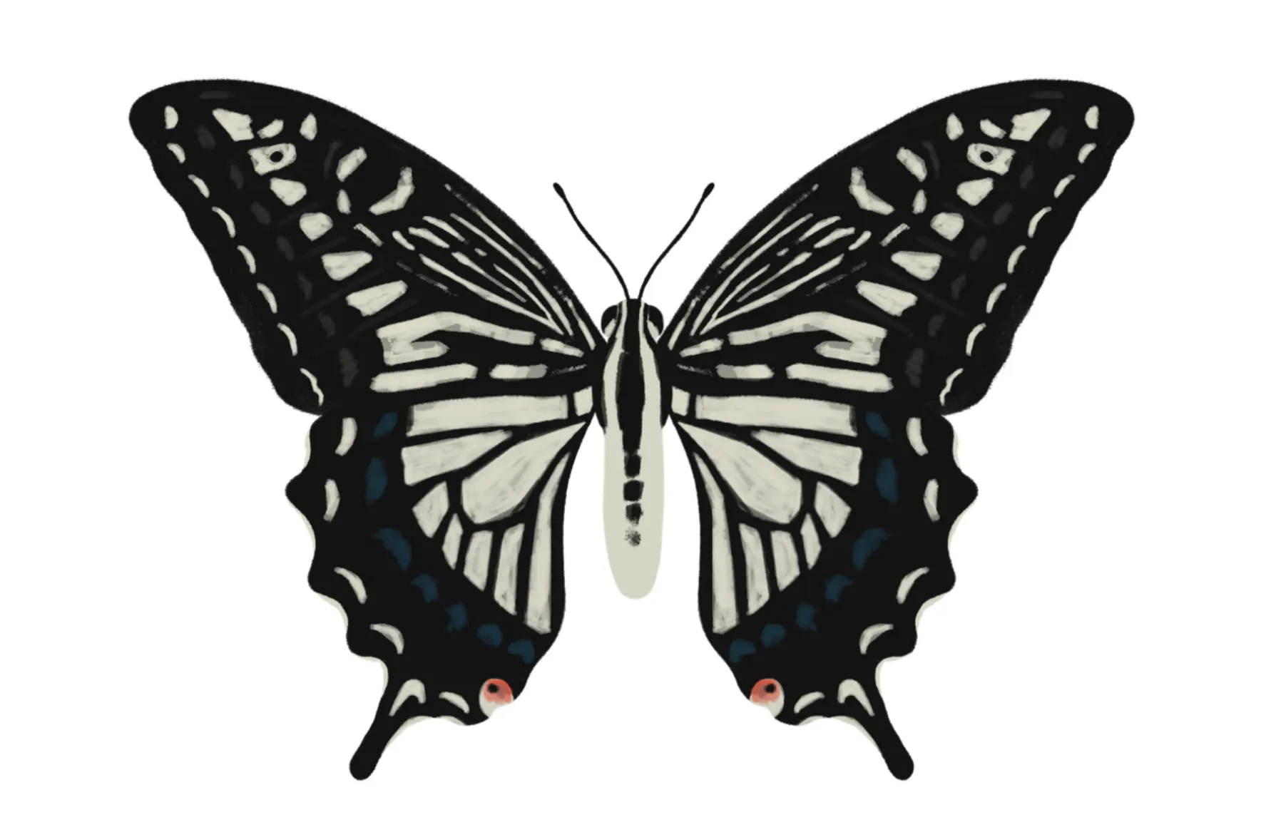 昆虫のイラスト