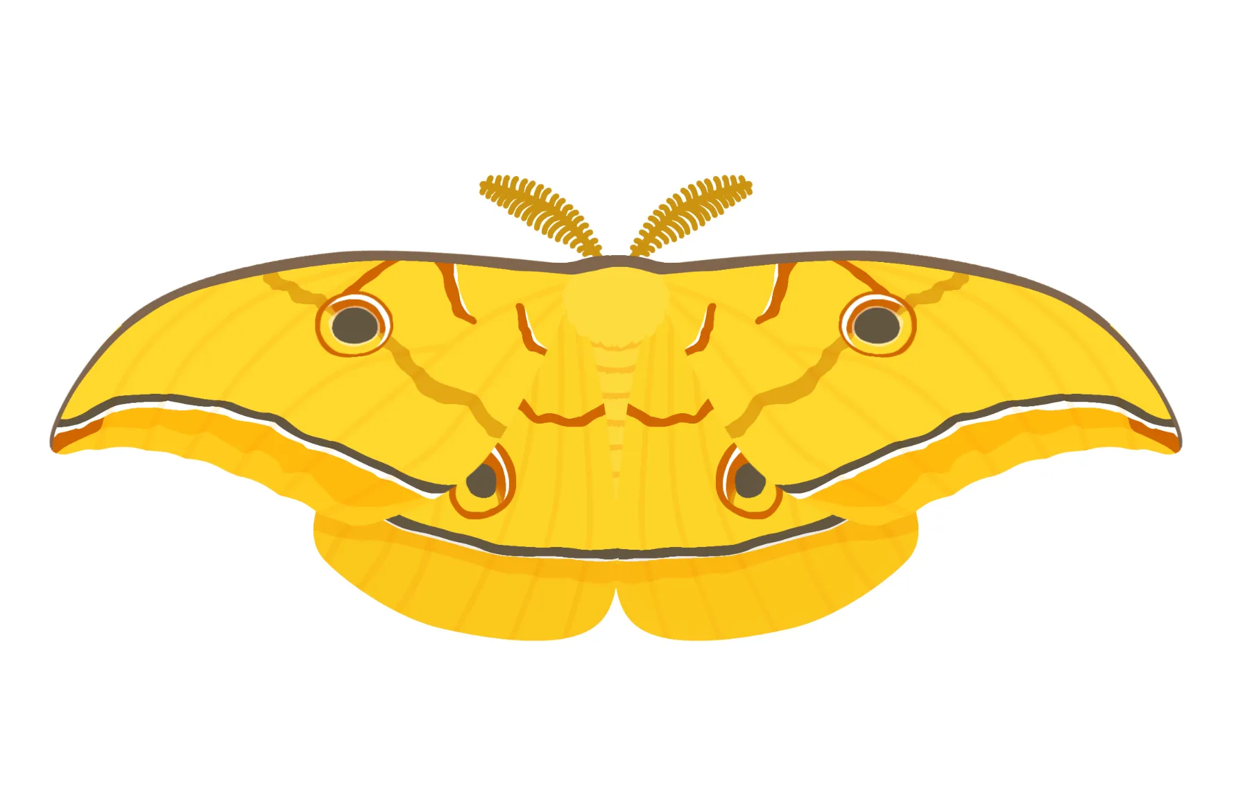 昆虫のイラスト