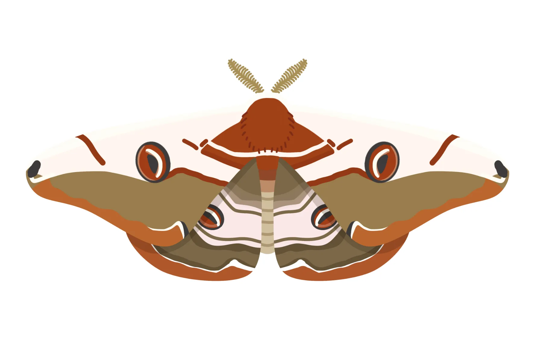 昆虫のイラスト