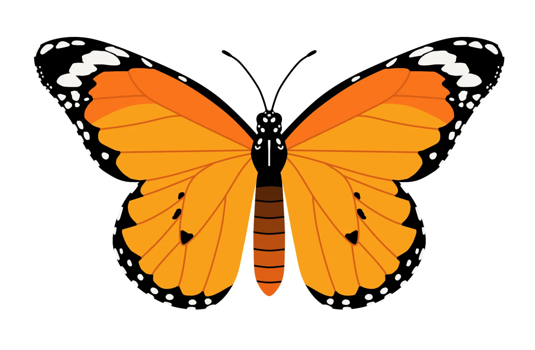 昆虫のイラスト