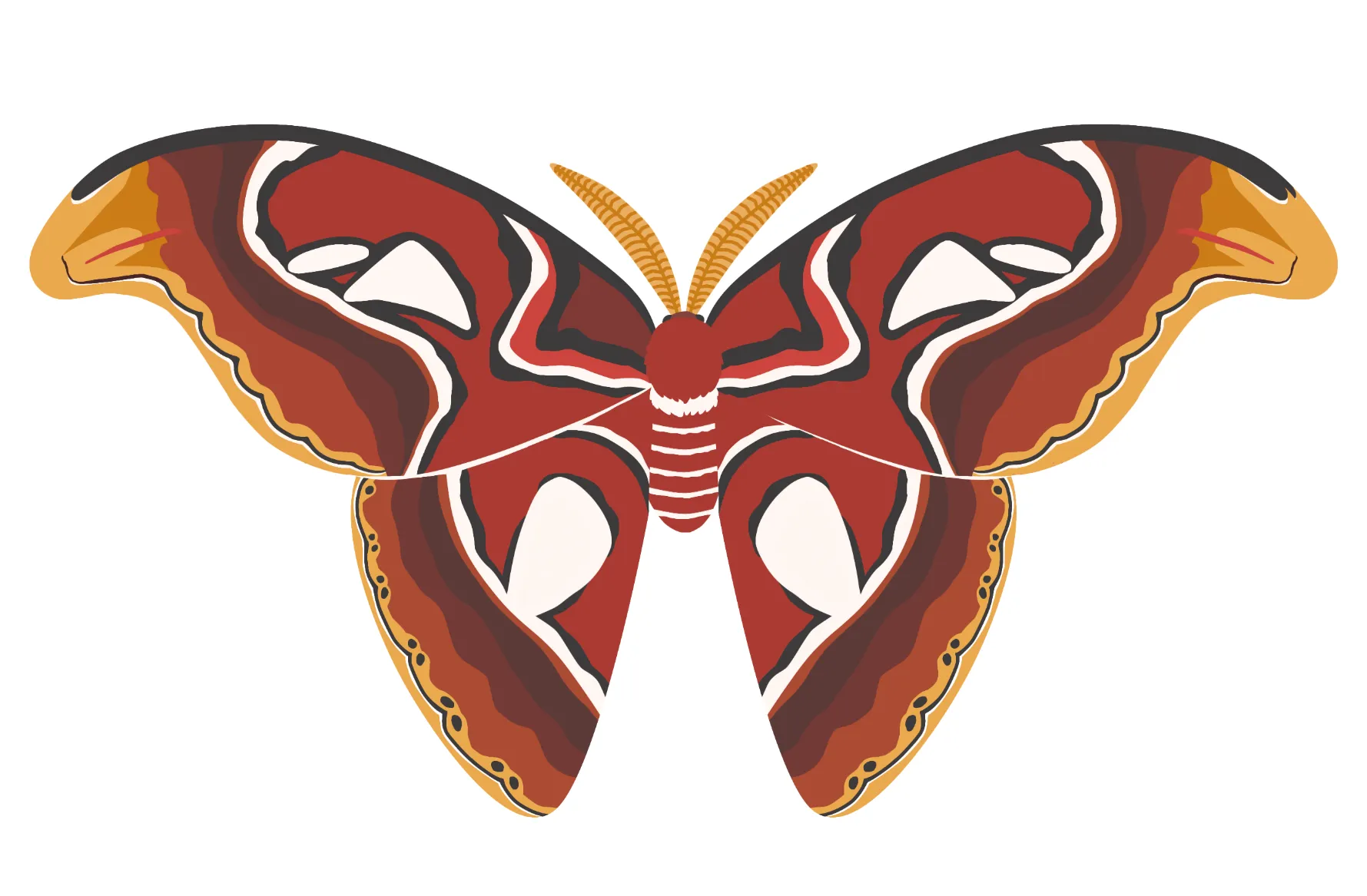 昆虫のイラスト